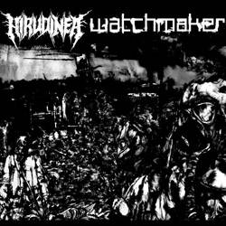 Hirudinea - Watchmaker Split